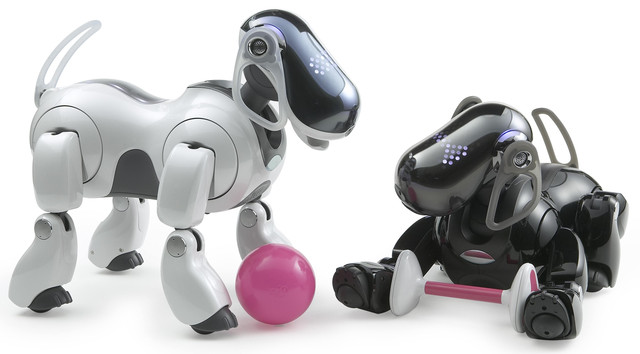 Hợp tác với Trường Đại học Công nghiệp Chiba trong lĩnh vực công nghệ robot Hợp tác với Trường Đại học Công nghiệp Chiba trong lĩnh vực công nghệ robot