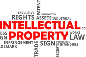 so-huu-tri-tue-la-gi