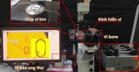 z6840341372216_a5736cfe3115af9a49bea277f7d59006