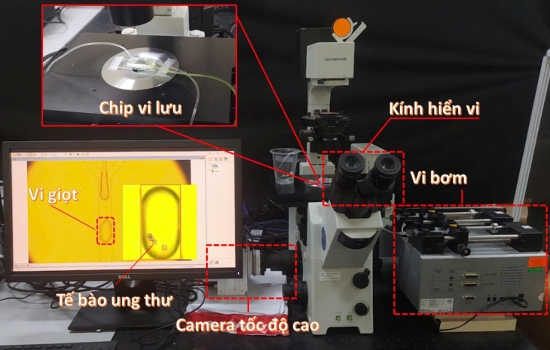 Nghiên cứu chip vi lưu điều khiển vi giọt: Nhóm sinh viên Khoa Điện tử viễn thông hướng đến ứng dụng y sinh hiện đại